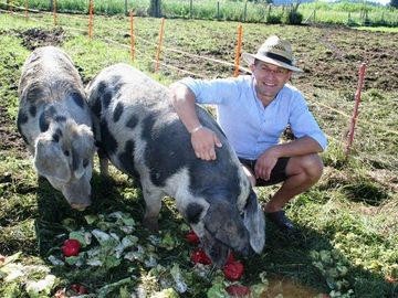 Peter Sigl mit Turopolje-Schweinen
